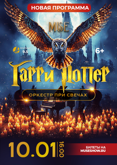 Оркестр MUSE. ГАРРИ ПОТТЕР – магия в каждой ноте